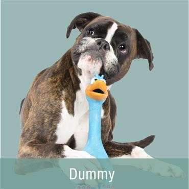 Hunde-Dummy - gutes Hunde -...