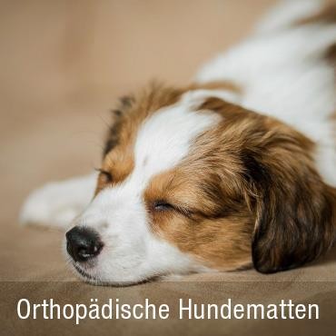  Orthopädische Hundematten
Eine...