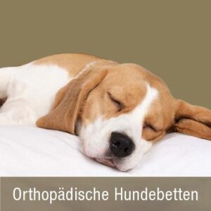 Orthopädische Hundebetten