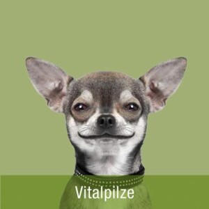 BIO Vitalpilze &amp; Vitalpilze für Hunde
