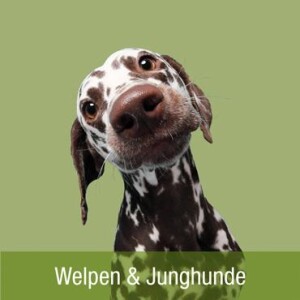 Welpenfutter &amp; Junghunde - Junior