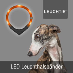 LEUCHTIE® Plus LED Leuchthalsband