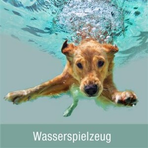 Wasserspielzeug für Hunde schwimmfähig