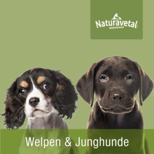Naturavetal® Welpenfutter & Junghunde