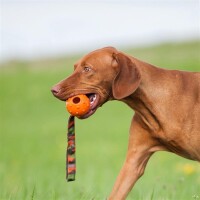 Major Dog® Schleuderball Speed - groß