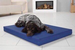 Medizinische Hundematte PULMACELL® safe 70x100x8 cm royalblau