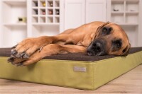 Von Hohenstein® Orthopädisches Hundebett Loden + Grün M 80x100x8cm