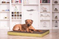 Von Hohenstein® Orthopädisches Hundebett Loden + Grün M 80x100x8cm