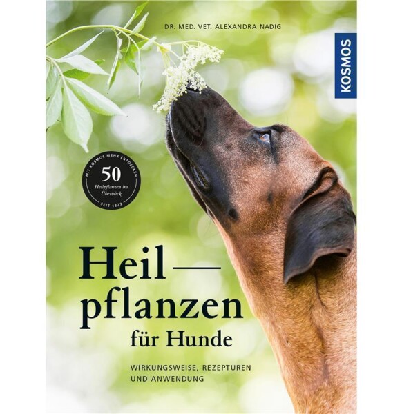 Heilpflanzen für Hunde - Alexandra Nadig