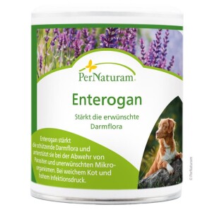 PerNaturam® Enterogan - Darmflora