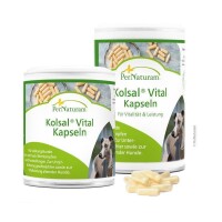 PerNaturam Kolsal® Vital-Kapseln - Kolostrum