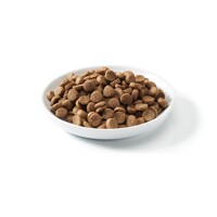 Defu® SENIOR Bio Geflügel Hundetrockenfutter - 12,5kg