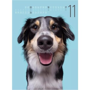 Hundekalender Frei Schnauze 2024