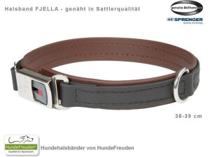 Biothane® Halsband Fjella Schwarz Edelstahl ClicLock silber 38-39cm