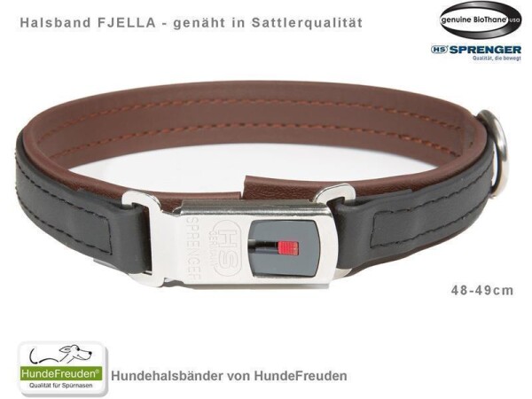 Biothane® Halsband Fjella Schwarz Edelstahl ClicLock silber 48-49cm