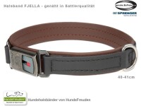 Biothane® Halsband Fjella Schwarz Edelstahl ClicLock schwarz 40-41cm