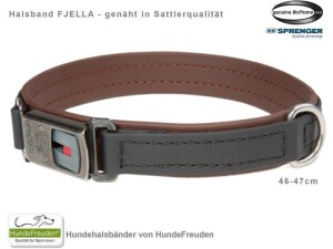 Biothane® Halsband Fjella Schwarz Edelstahl ClicLock schwarz 46-47cm