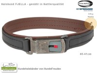 Biothane® Halsband Fjella Schwarz Messing ClicLock schwarz 40-41cm