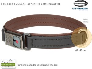 Biothane® Halsband Fjella Schwarz Messing ClicLock schwarz 46-47cm
