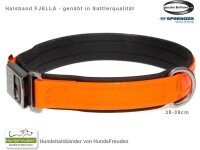 Biothane® Halsband Fjella Orange Edelstahl ClicLock silber 38-39cm