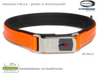 Biothane® Halsband Fjella Orange Edelstahl ClicLock silber 48-49cm