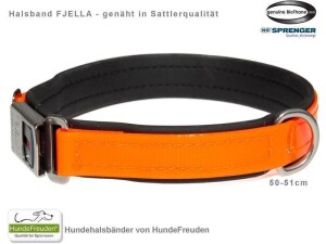 Biothane® Halsband Fjella Orange Edelstahl ClicLock silber 50-51cm