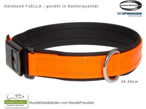 Biothane® Halsband Fjella Orange Edelstahl ClicLock schwarz 38-39cm