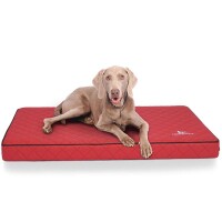 Knuffelwuff® Orthopädische Hundematte Juna - rot - XXXL 136 x 84cm