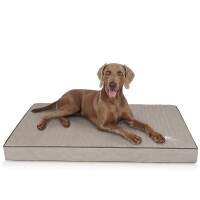 Knuffelwuff® Orthopädische Hundematte Palomino - grau - XXL 115 x 80cm
