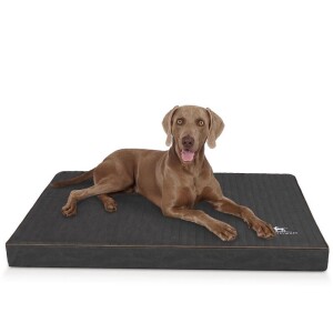 Knuffelwuff® Orthopädische Hundematte Palomino - schwarz - L 80 x 60cm