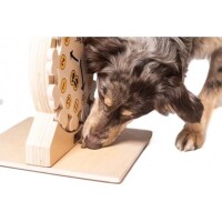 My Intelligent Dogs® Hunde Uhr - Level 3