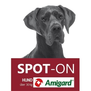 Amigard® Spot On für Hunde - über 30kg