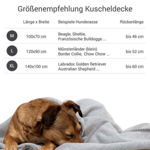 Doctor Bark® Hundedecke - Hellgrau - XL 140 x 100cm