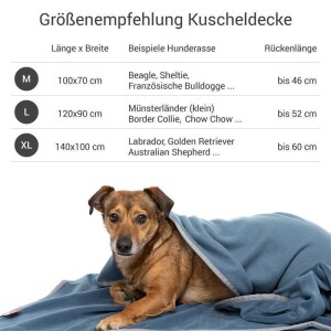 Doctor Bark® Hundedecke - Blaugrau - L 120 x 90cm