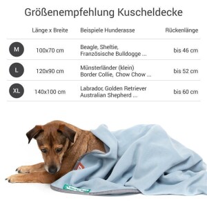 Doctor Bark® Hundedecke - Himmelblau - M 100 x 70cm