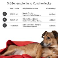 Doctor Bark® Hundedecke - Rot - L 120 x 90cm