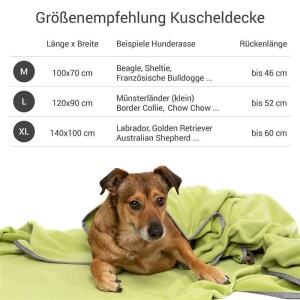 Doctor Bark® Hundedecke - Gras Grün - M 100 x 70cm