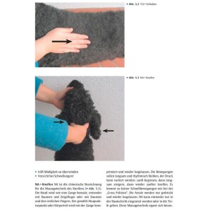 Physiotherapie und Bewegungstraining für Hunde - Sabine Mai