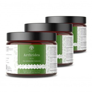 Waldkraft® Arthridea 300g - Glas