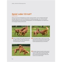 Sprachkurs Hund - Martin Rütter
